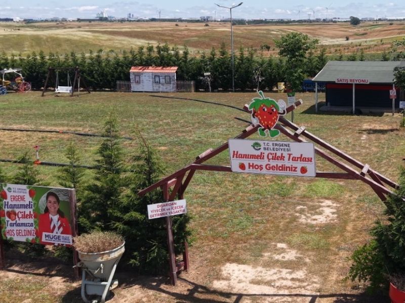 ERGENE�M�ZDE LAVANTA TARLAMIZ VE HANIMEL� ��LEK TARLAMIZDA KAPILARIMIZI A�TIK!