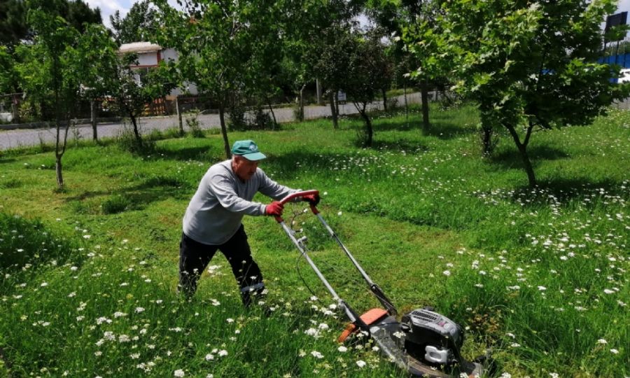Ergenede im Bime ve Yabani Ot Temizlii Devam Ediyor