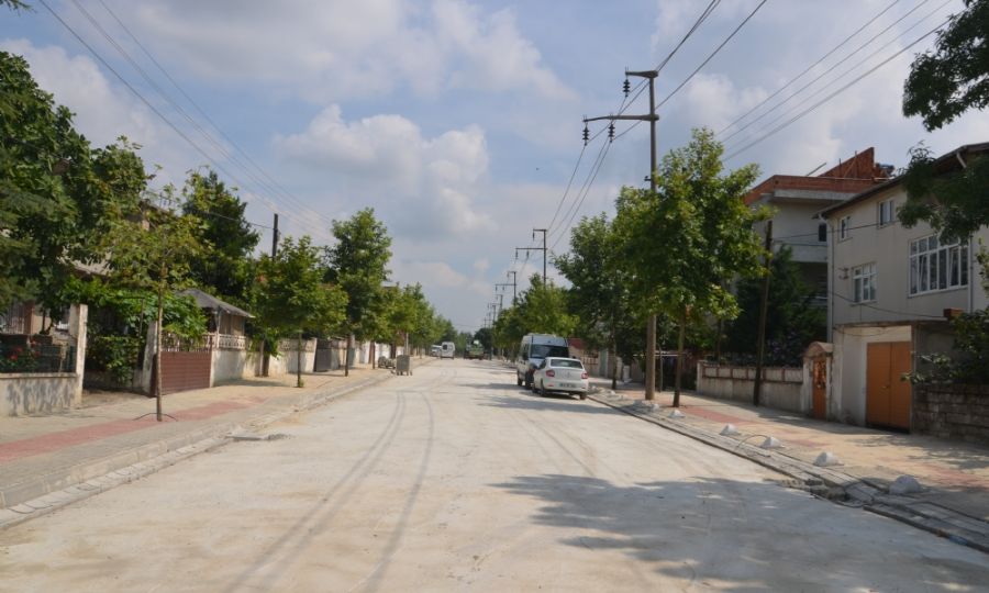 Salk Mahallesi Sevgi Yolundaki almalar Devam Ediyor