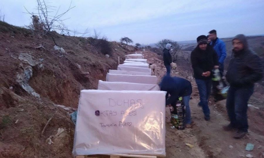 Ergene Belediyesinden Sokak Hayvanlar Aklamas