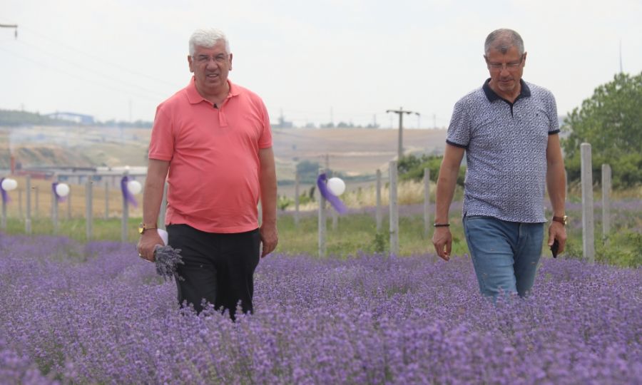 Ergene Belediye Bakan Rasim Yksel, Ergene Artk Lavanta Kokusu le Anlacak