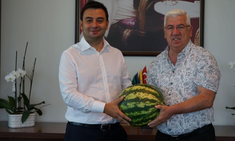 Velimeşe bozası tamam sıra Velimeşe karpuzunda