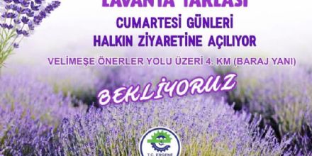 Ergene Belediyesi Bir Projesini Daha Hayata Geçirdi