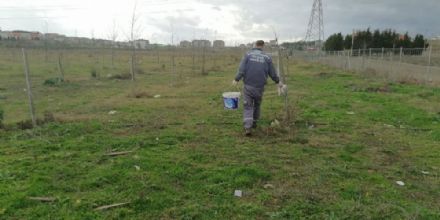 Ergene Belediyesinden Fidanlara Can Veren alma