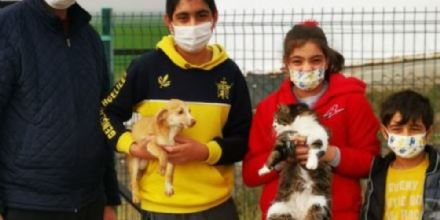 Ergene Belediyesi Sevimli Dostlarn Sahiplendirmeye Devam Ediyor