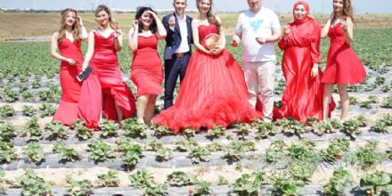 �ilek tarlas� do�al st�dyo oldu