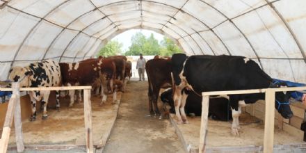 Ergene’de Kurban Pazarında Satışlar Başladı