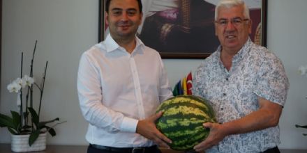 Velimee bozas tamam sra Velimee karpuzunda
