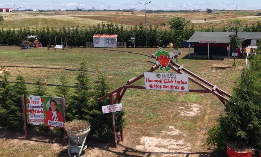 ERGENE�M�ZDE LAVANTA TARLAMIZ VE HANIMEL� ��LEK TARLAMIZDA KAPILARIMIZI A�TIK!