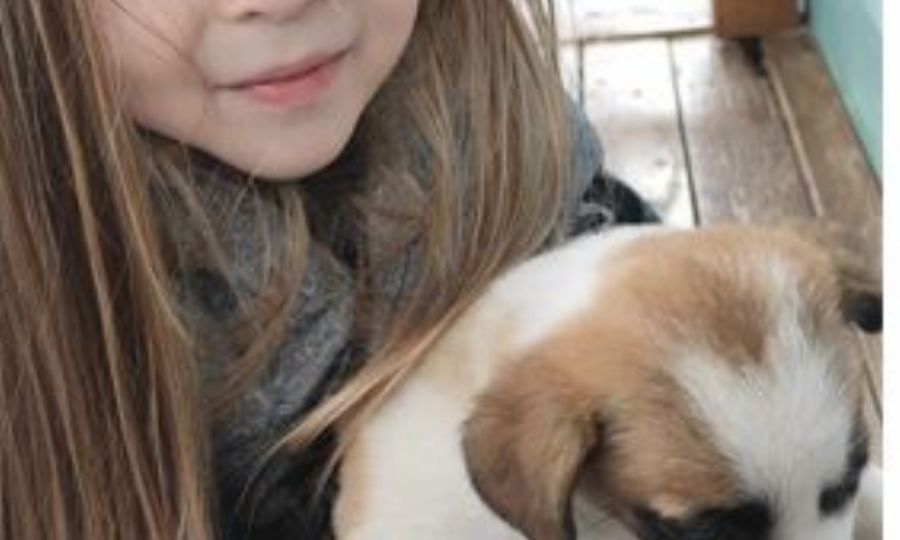Ergene Belediyesi Can Dostlar�n� Sahiplendirmeye Devam Ediyor