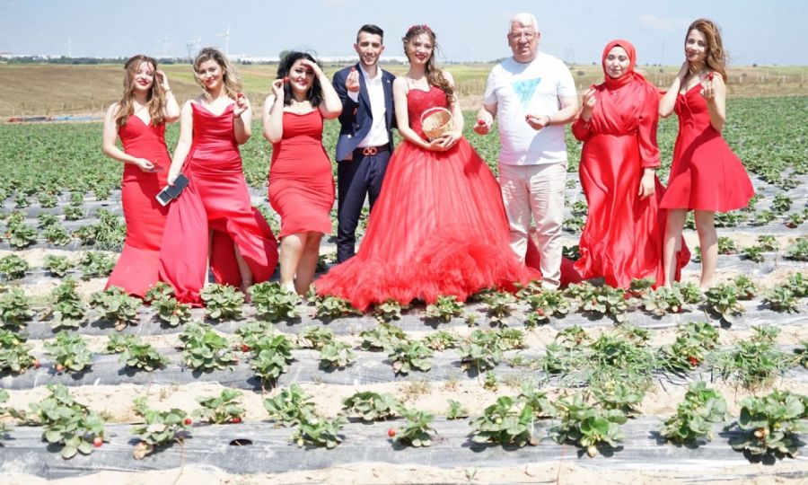 �ilek tarlas� do�al st�dyo oldu