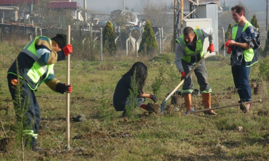 Ergenede  2 Bin Fidan Toprakla Buluacak