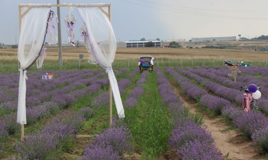 Ergene Belediyesi ledeki Sakl Cennetin Kaplarn Amaya Hazrlanyor