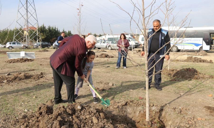Ergenede 450 Adet Meyve Fidann Toprakla Buluturduk