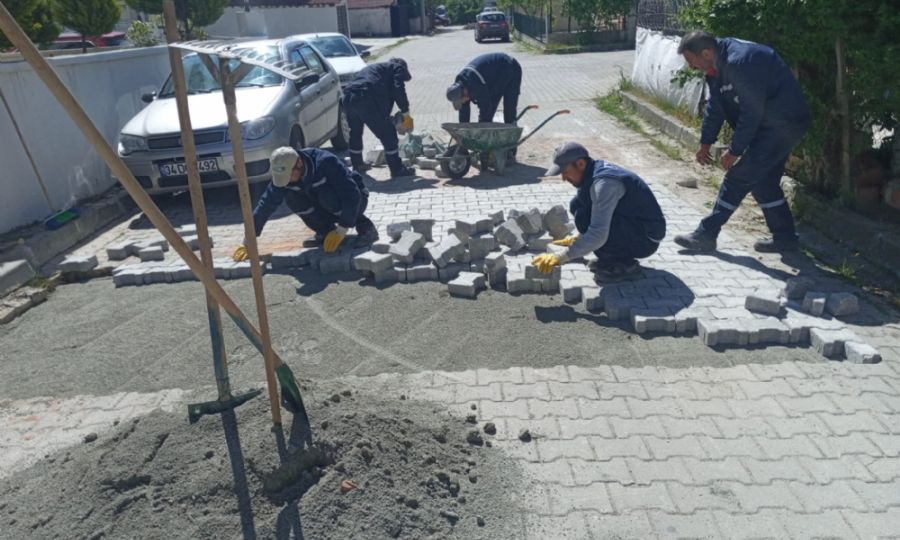 Güzel bir Ergene için çalışmaya devam