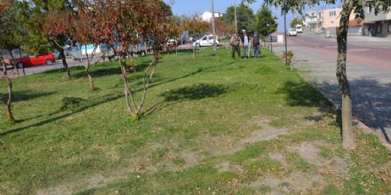 Ergene Belediyesi Park ve Baheleri Temizliyor