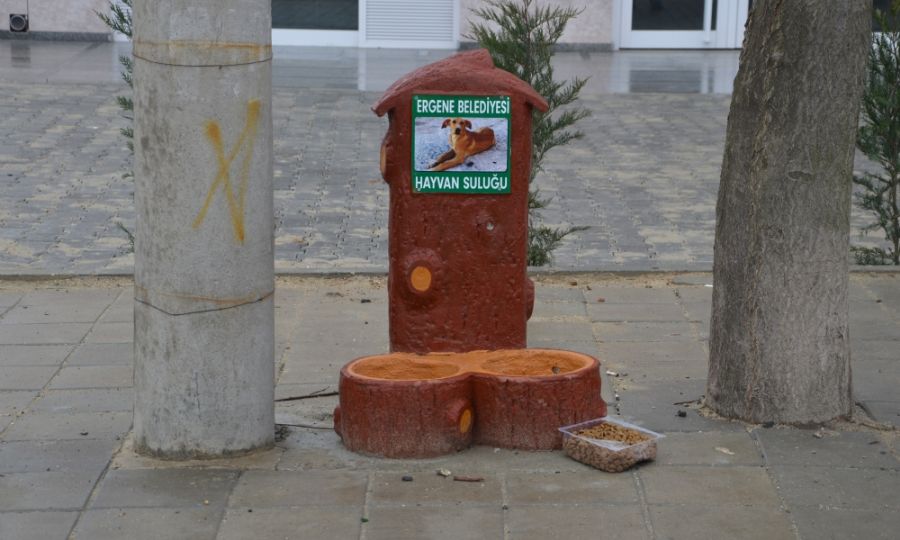 Ergene Belediyesi Sokak Hayvanlarn Unutmad