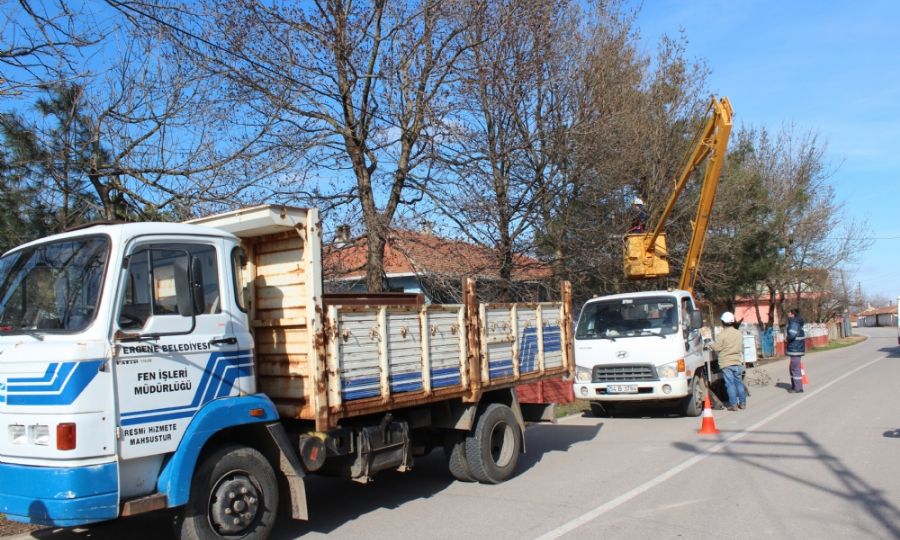 Ergene�de A�a� Budama �al��malar� Ba�lad�